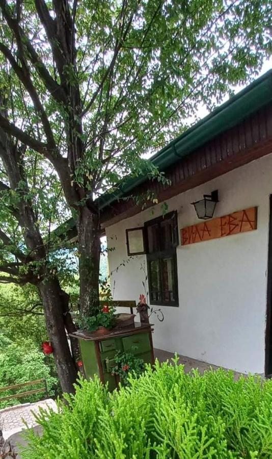 Vila Eva Meduvrsje Extérieur photo