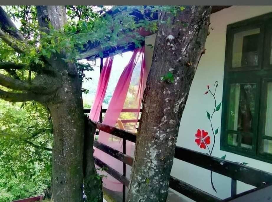 Vila Eva Meduvrsje Extérieur photo