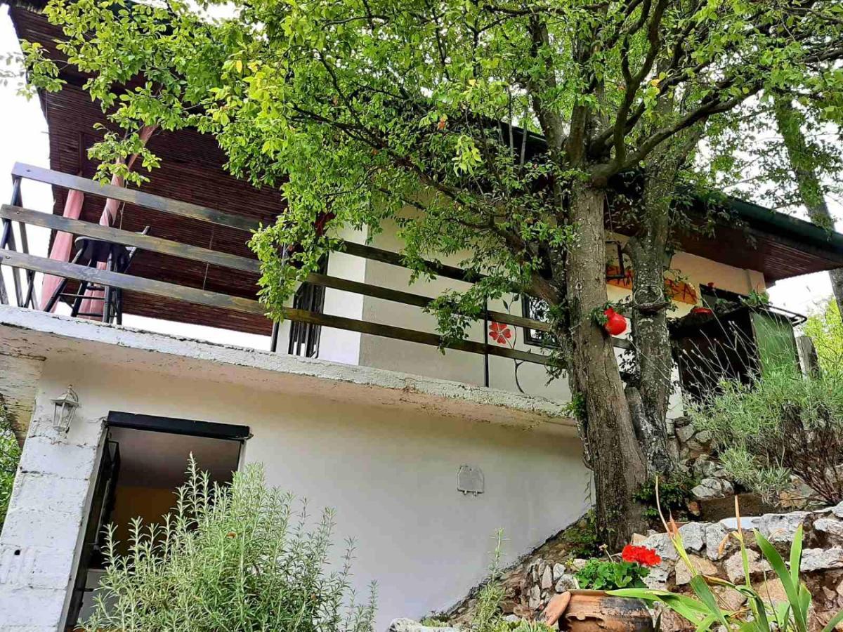 Vila Eva Meduvrsje Extérieur photo